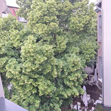 شقة Spokojny 'maly Monciak' Na Monte Cassino, W Centrum I Blisko Do Morza *